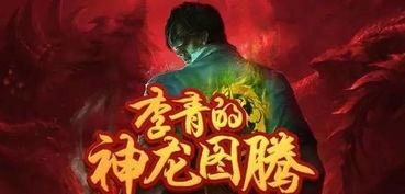 神龙李青爆料视频大全最新,揭秘娱乐圈幕后真相  第2张