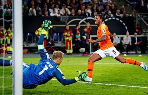 荷兰媒体最新爆料,揭秘某重大事件背后真相  第1张